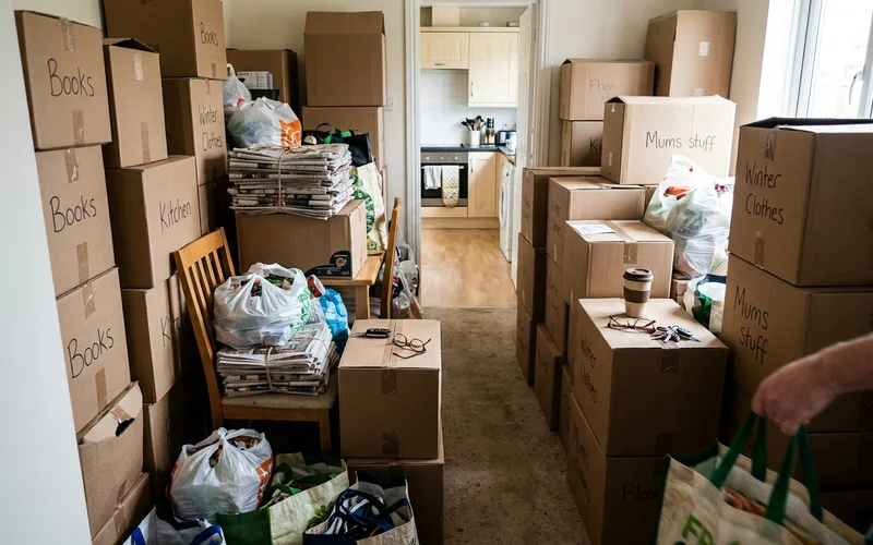 Floor-to-ceiling accumulation in the dining room before the Parma cleanup began