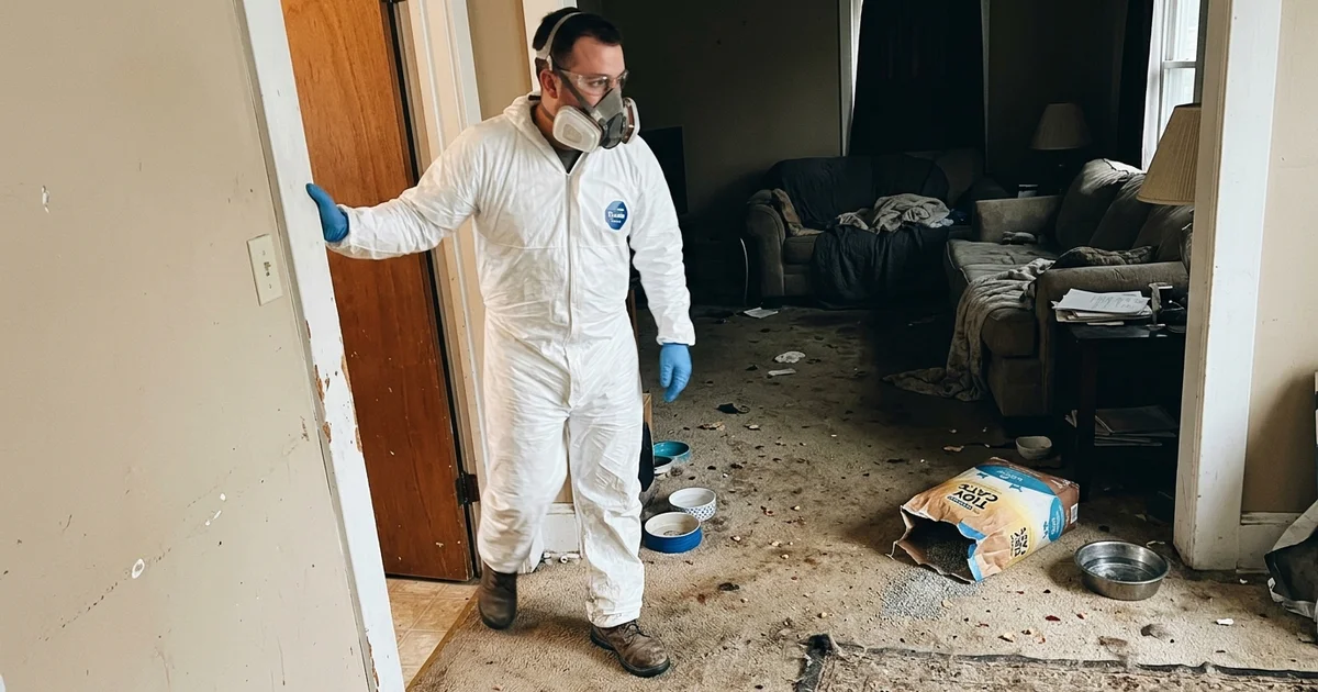 A technician in respiratory protection entering a home affected by animal waste